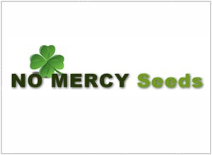Santa Maria (No Mercy Supply) :: Cannabis Strain Info