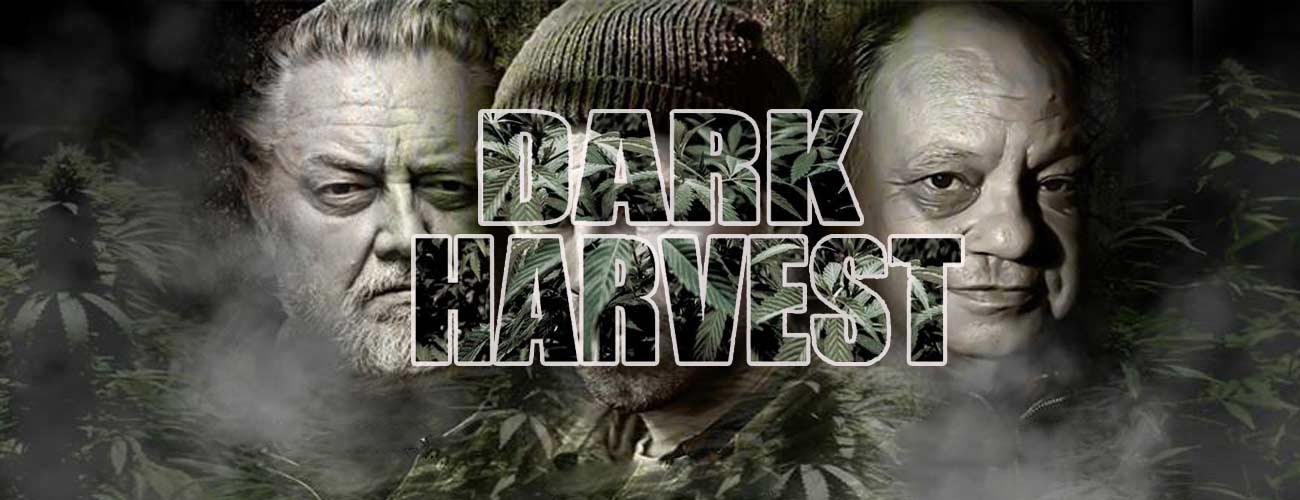 Dark harvest (2016) review CannaConnection