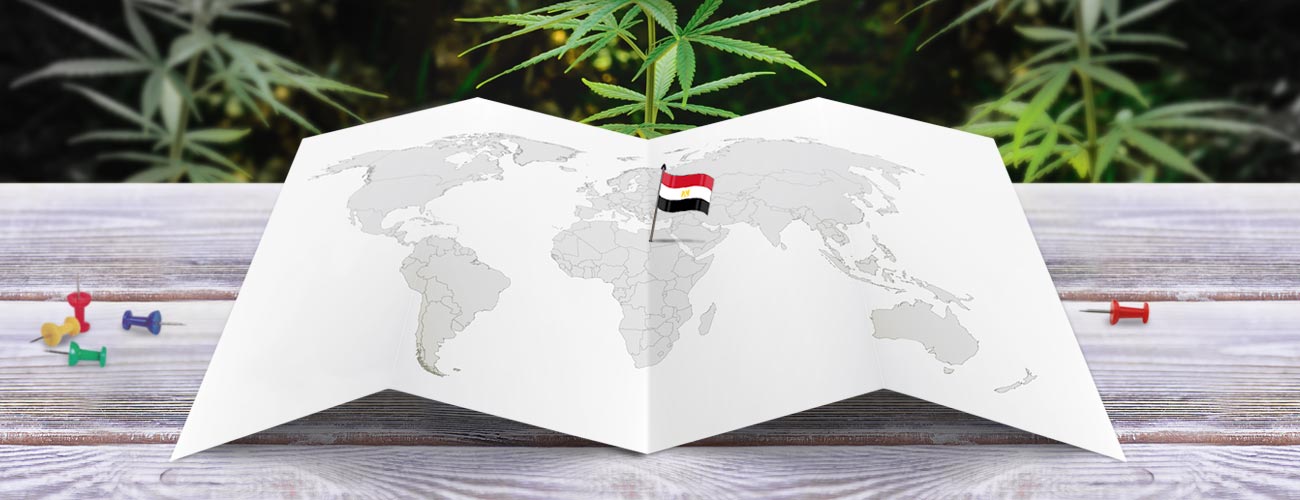 egyptian marijuana