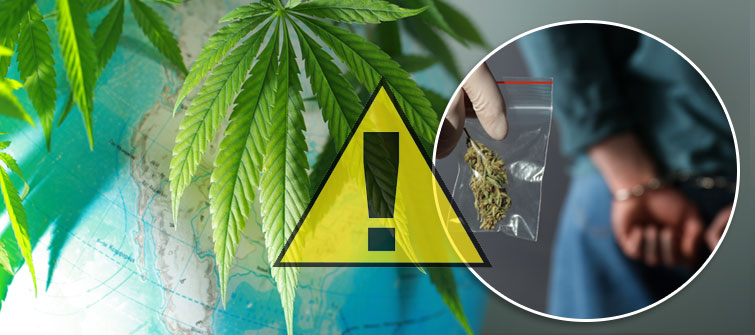 Cómo pasar una prueba de drogas para la detección de marihuana -  CannaConnection