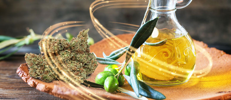 Cómo hacer aceite de oliva con marihuana - CannaConnection