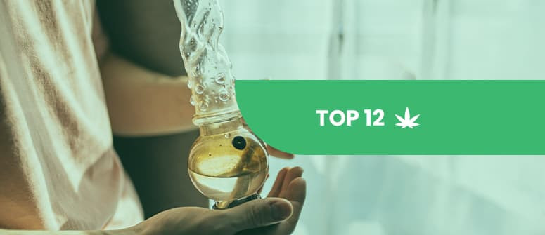 Top 12 de alternativas al agua del bong para mejorar el sabor de la  marihuana - CannaConnection