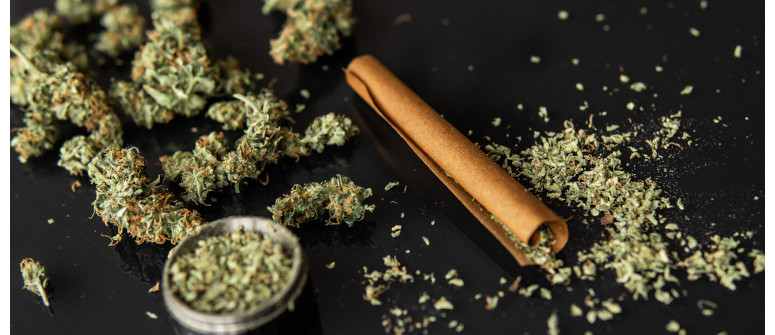 How to Roll a Blunt: A Comprehensive Guide for Beginners - CannaConnection