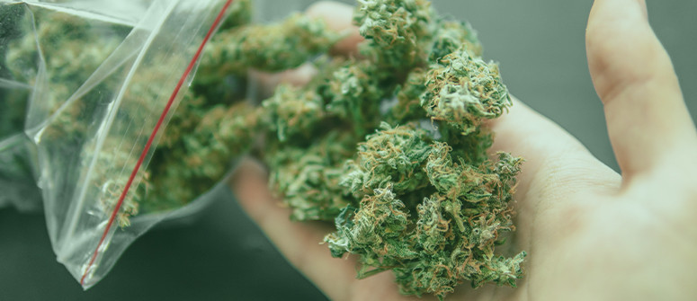 Best Weed Scales for Marijuana Buds Top 10!