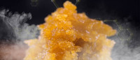 How To Make Live Resin From Fresh Buds Cannaconnection