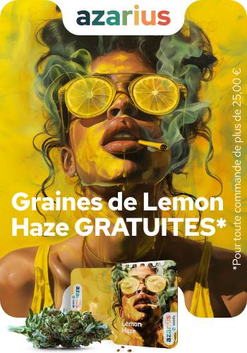 Azarius Graines de cannabis